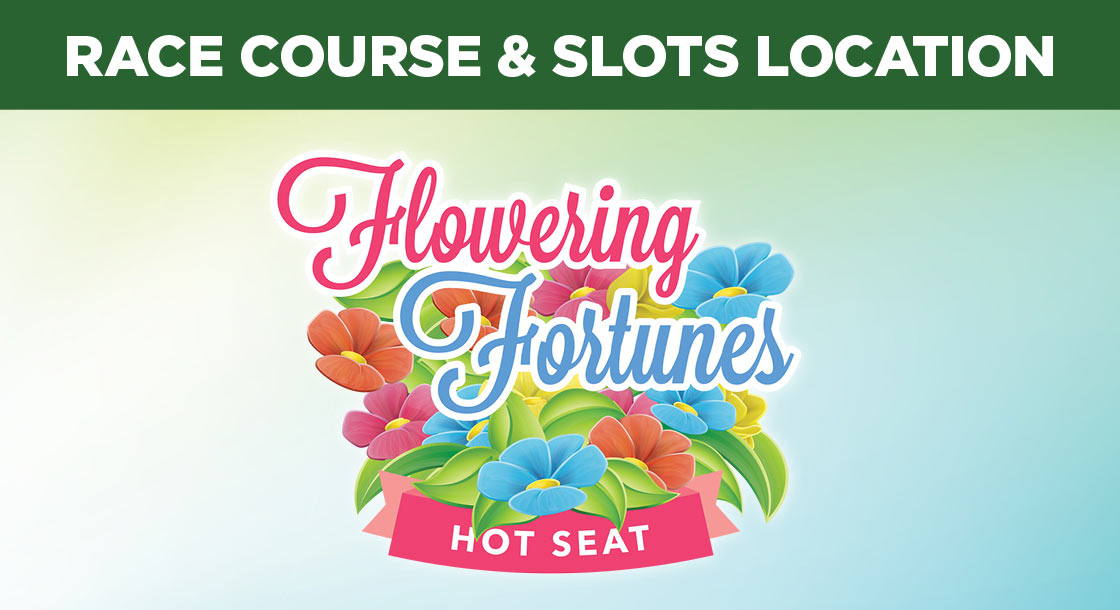 FGNO-65707-FloweringFortunesHotSeat-DigiGFX_1120 x 610
