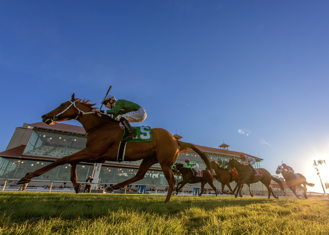 Accomplished Girl_UR_11-30-2024 Large