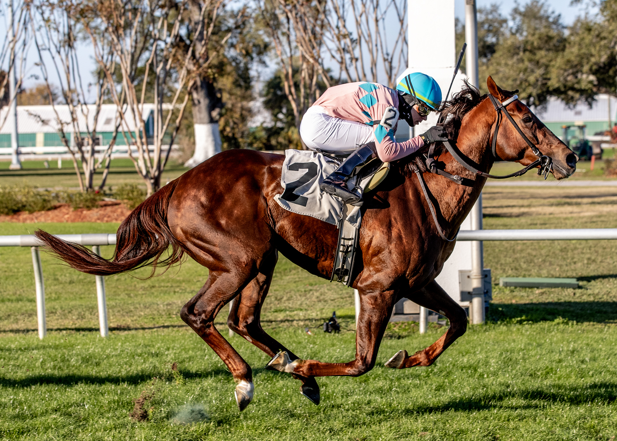 Bear River-F_12-21-2024