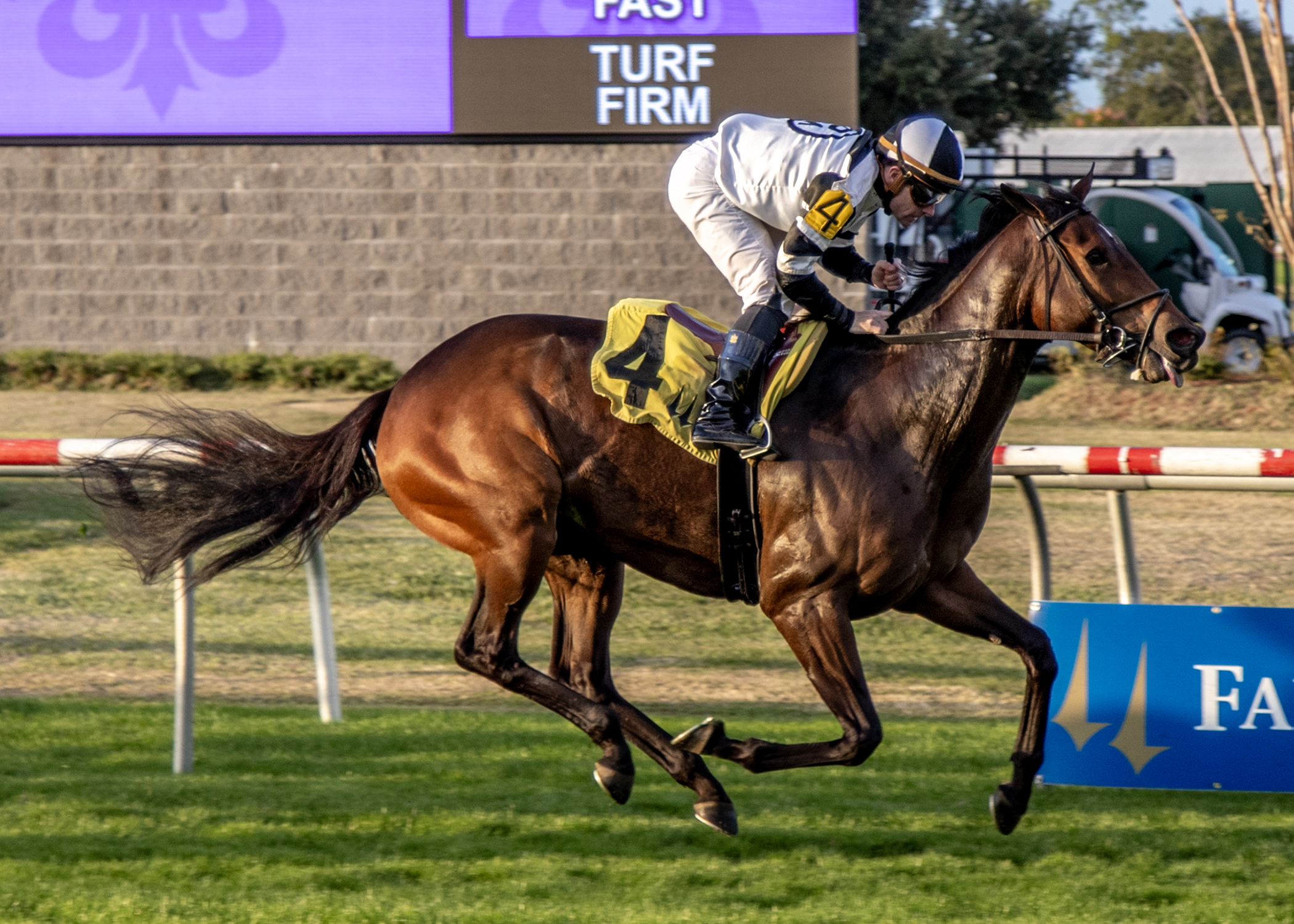 Big Trouble_11-29-2025