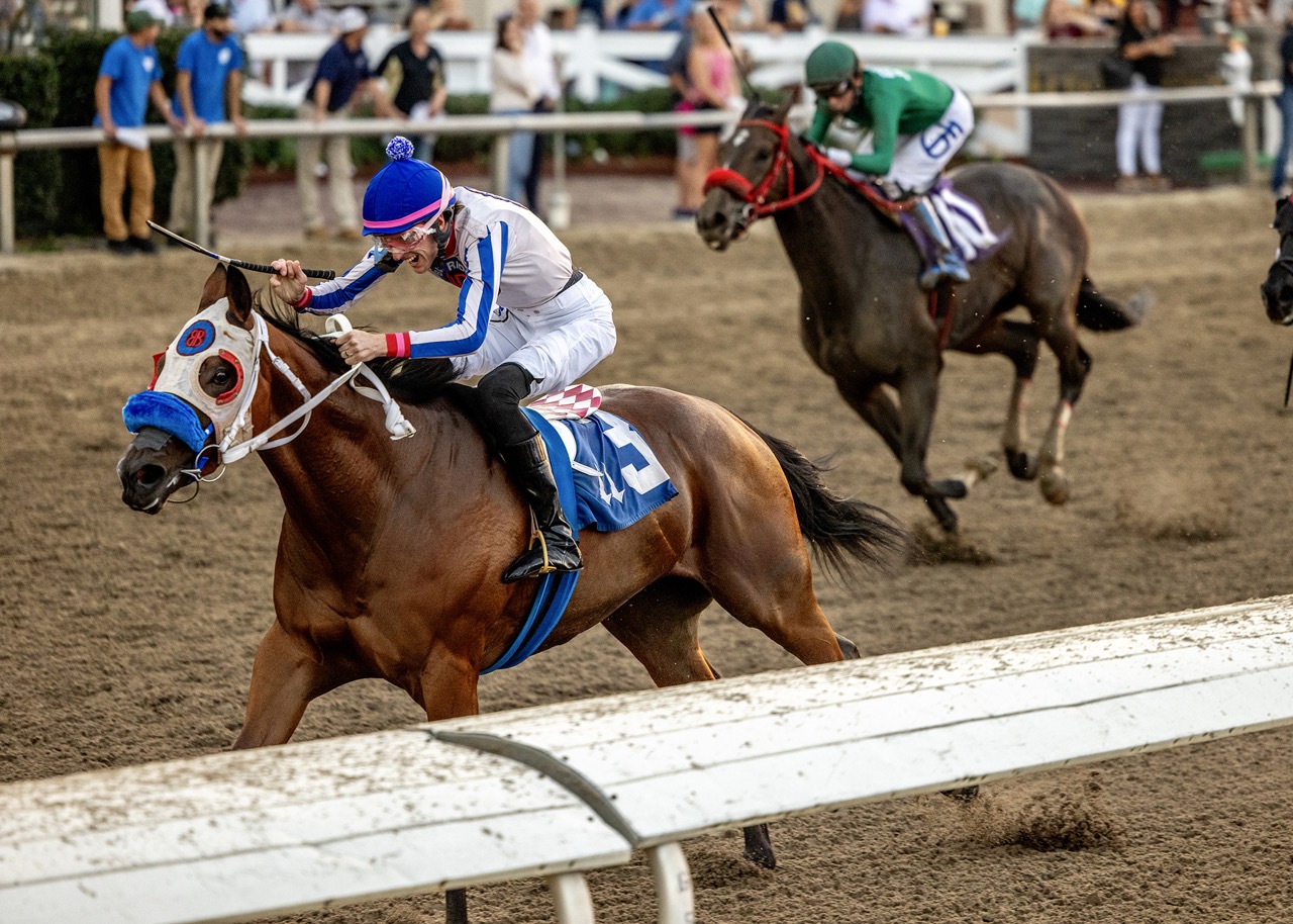 LetMikefigureitout-ir_11-22-2025 Large