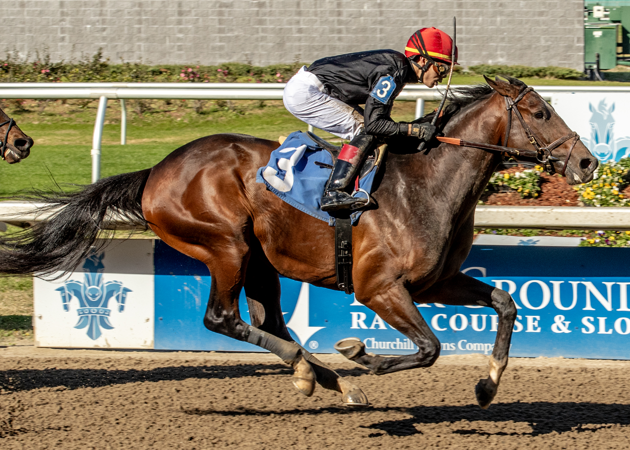 Golden Tempo_F_12-20-2025