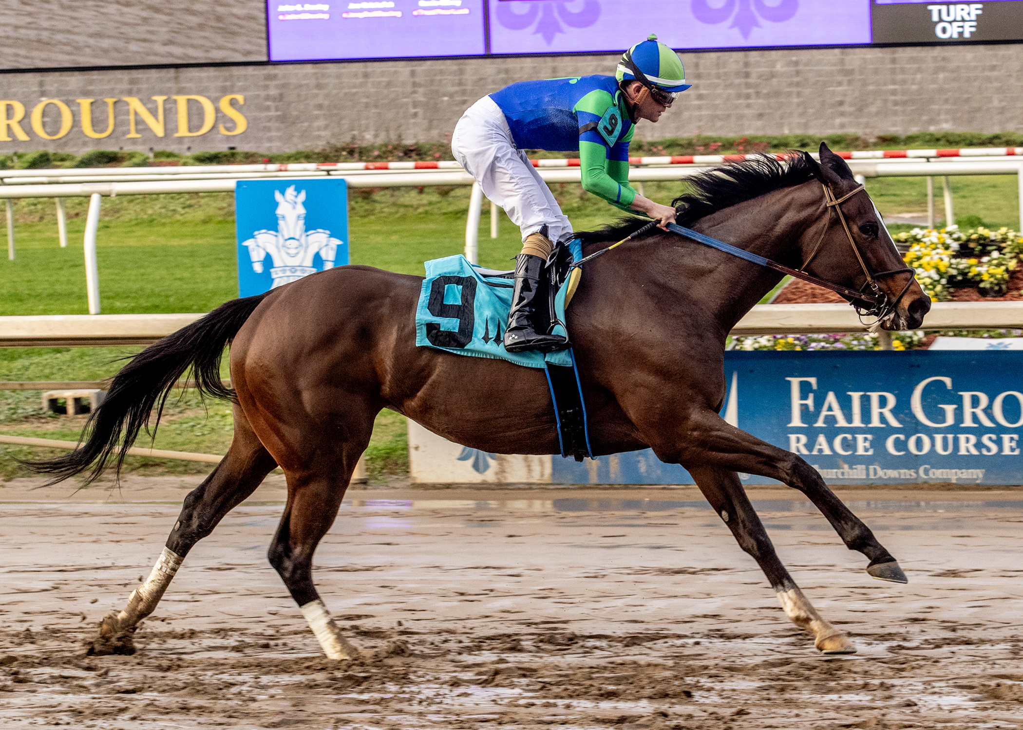 Lotsandlotsofcandy_F-1-10-2026