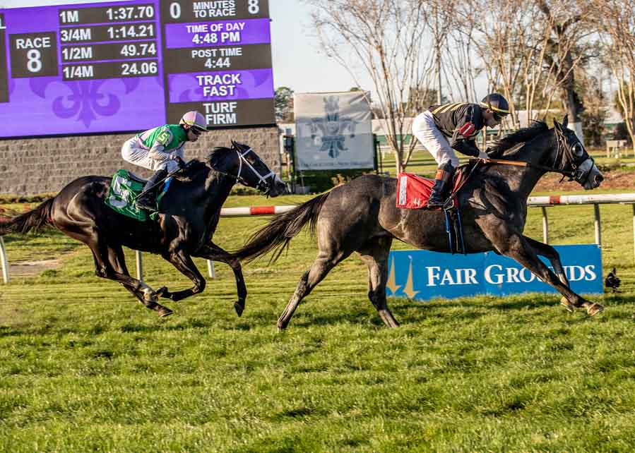 Black Hornet_F_2-28-26