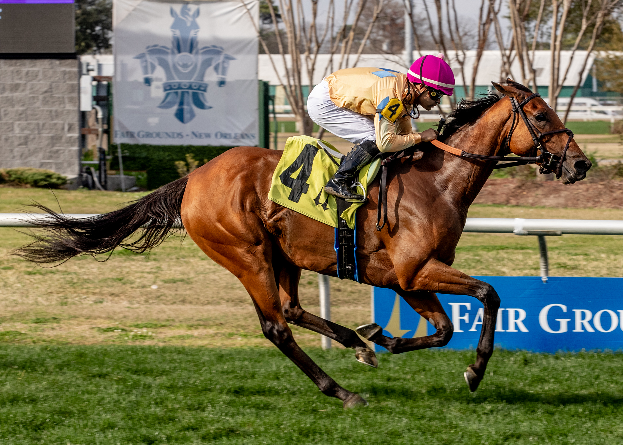 Expensive Queen_2-14-26_F