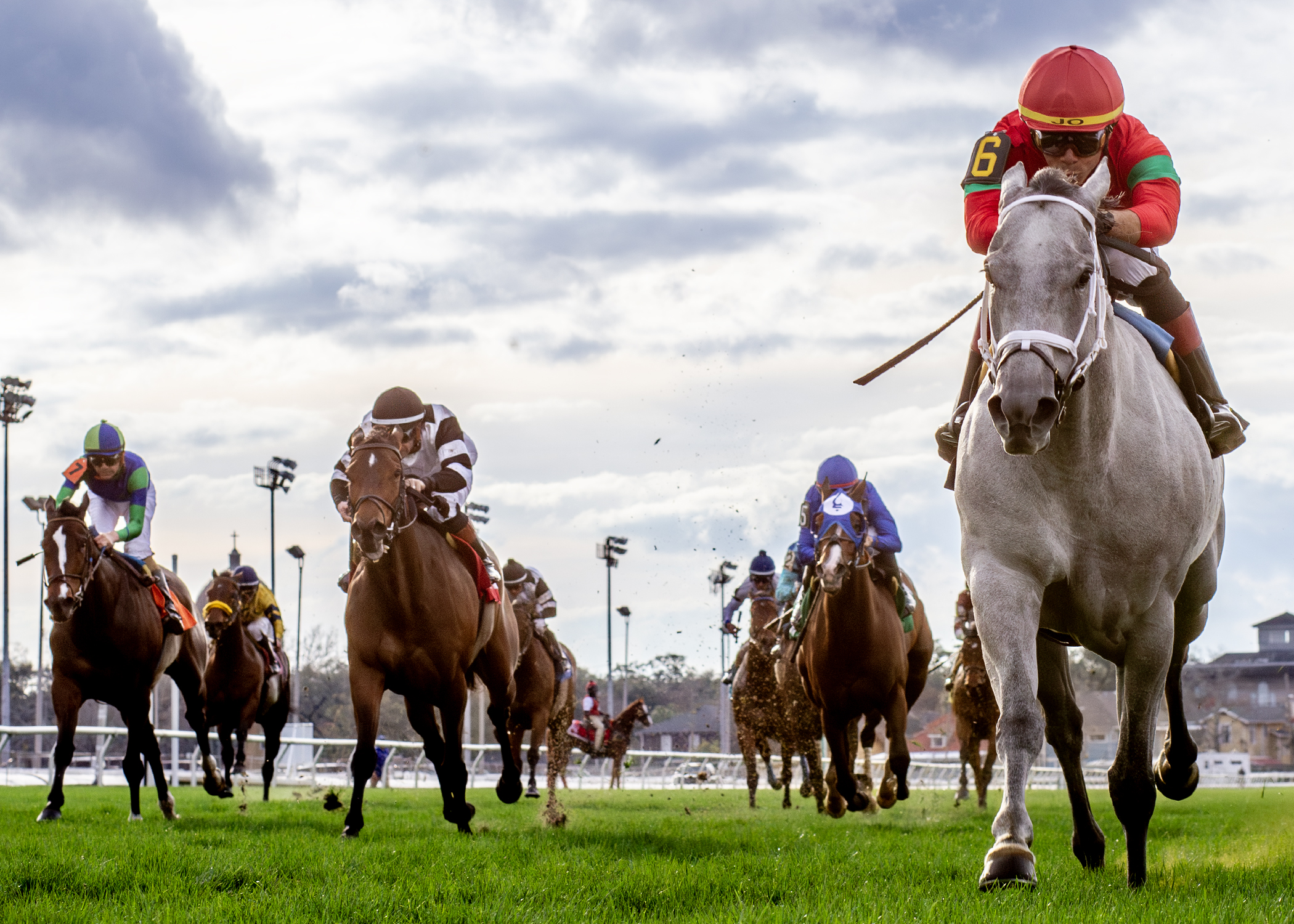 Shining Star_UR_2-17-2026