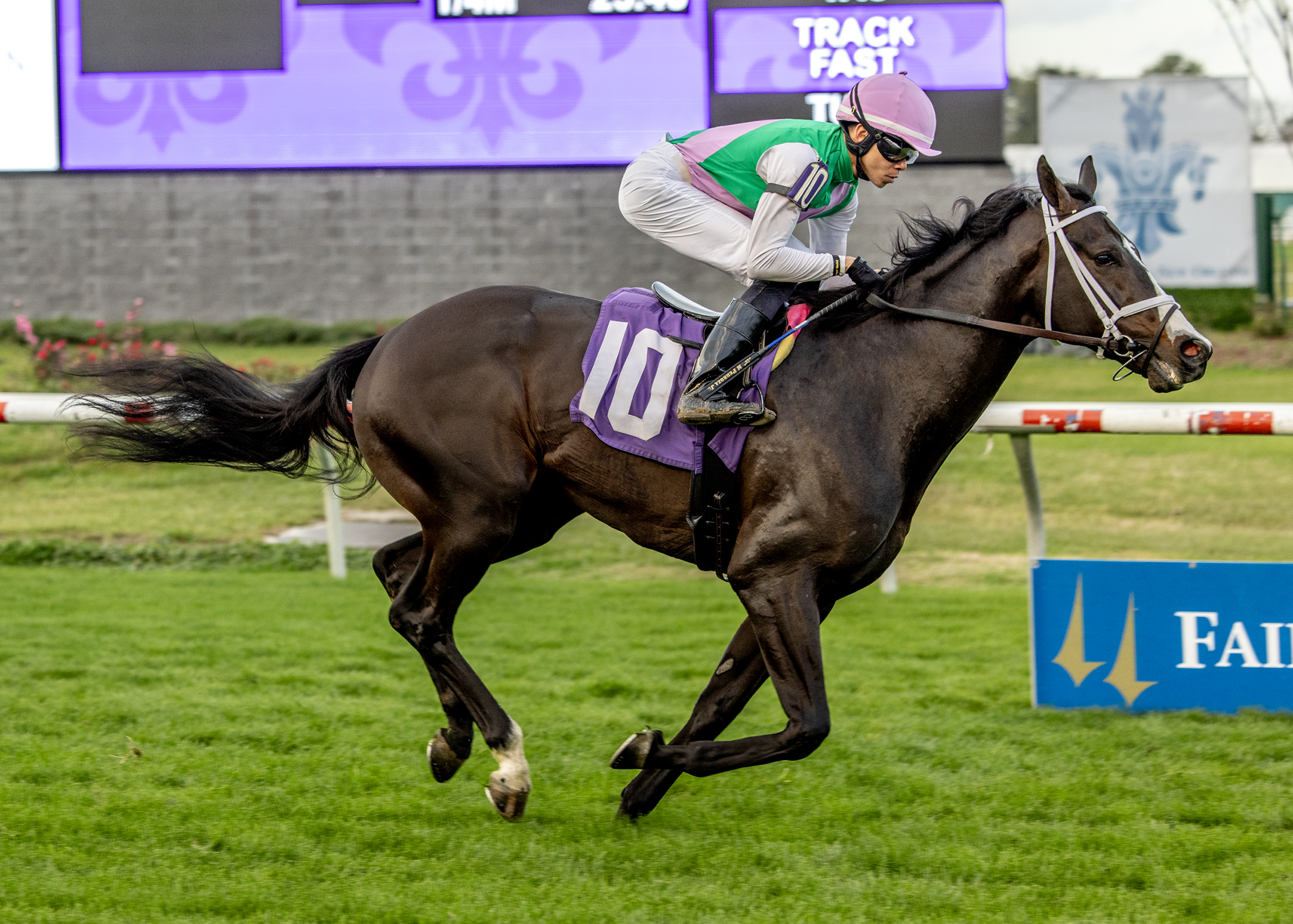 Touch Of Fire_F_1-8-2026