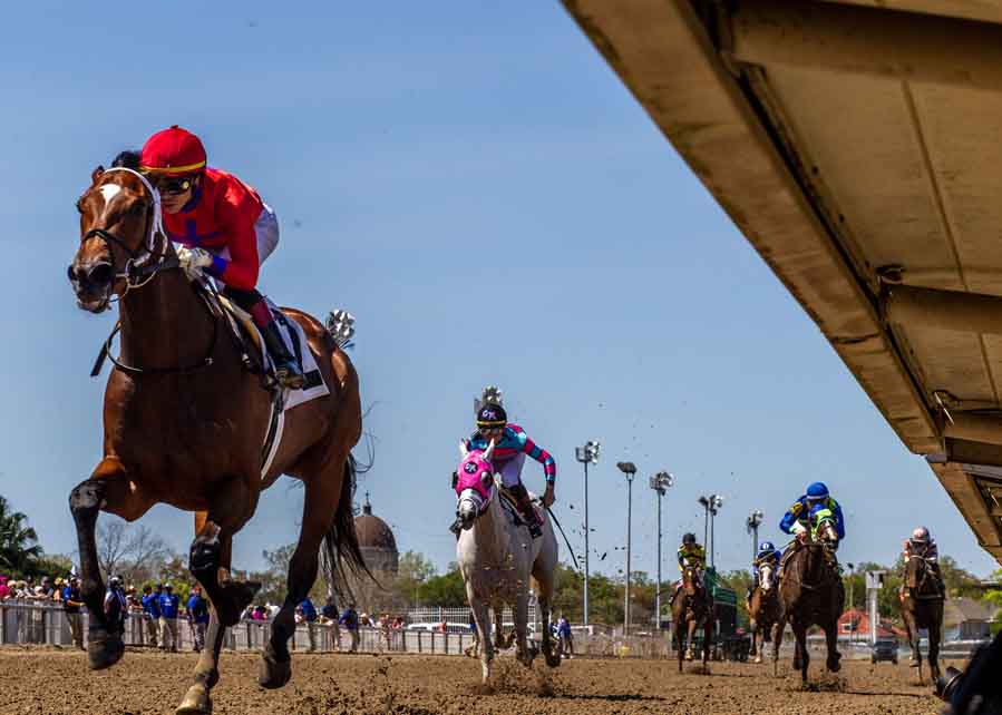 Braken Poppa_UR_3-21-26