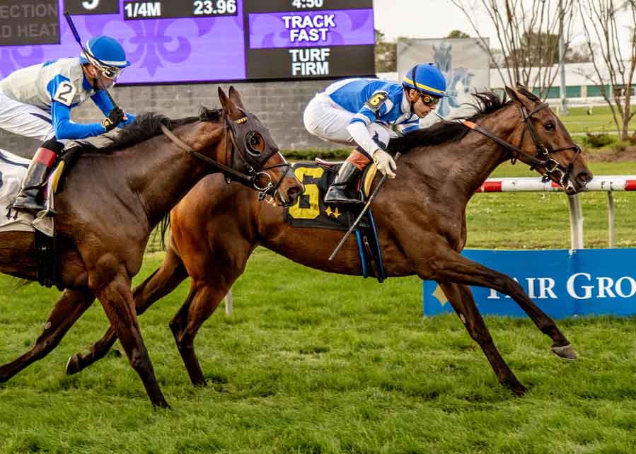 Indigo Woods_F_3-7-2026