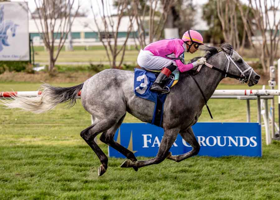 Nine Part_F_2-21-2026 (1)