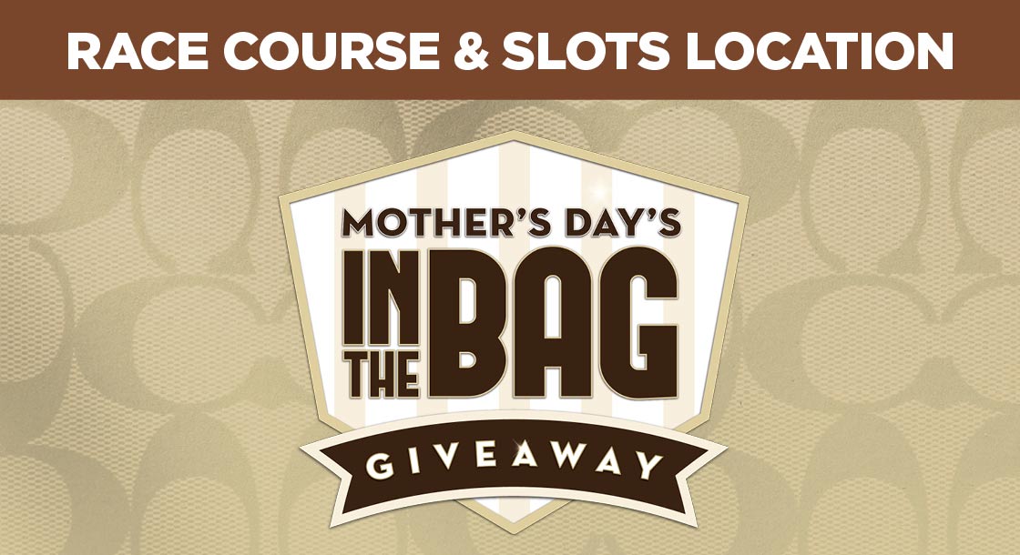 FGNO-65706-MothersDay_ItsIntheBag_Giveaway-DigiGFX-1120 x 610